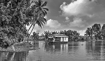 Kerala Backwaters & Tea Estate Treks